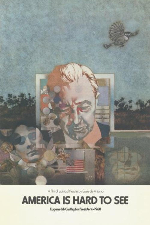 America Is Hard to See (1970) movie poster