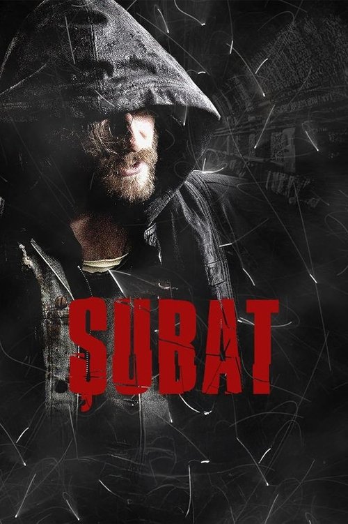Şubat (2012) TV show poster