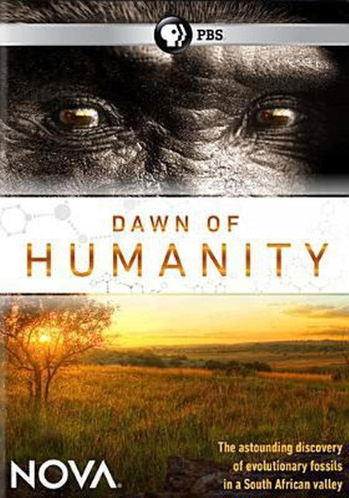 Dawn of Humanity (2015) movie poster