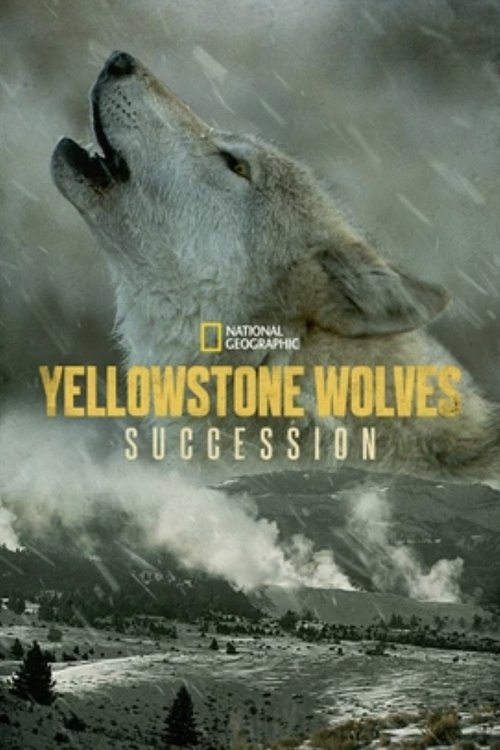 Yellowstone Wolves: Succession (2022) movie poster