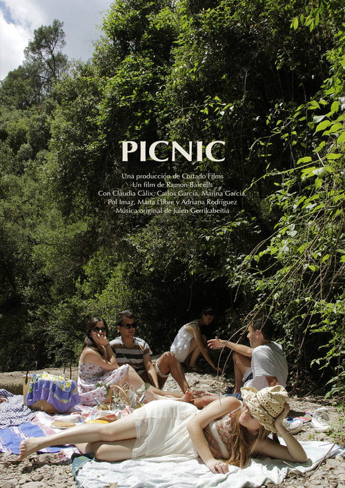 Picnic (2020) movie poster