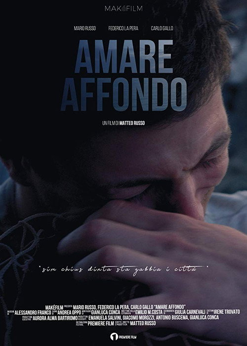 Amare Affondo (2019) movie poster