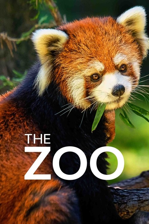The Zoo (2017) TV show poster