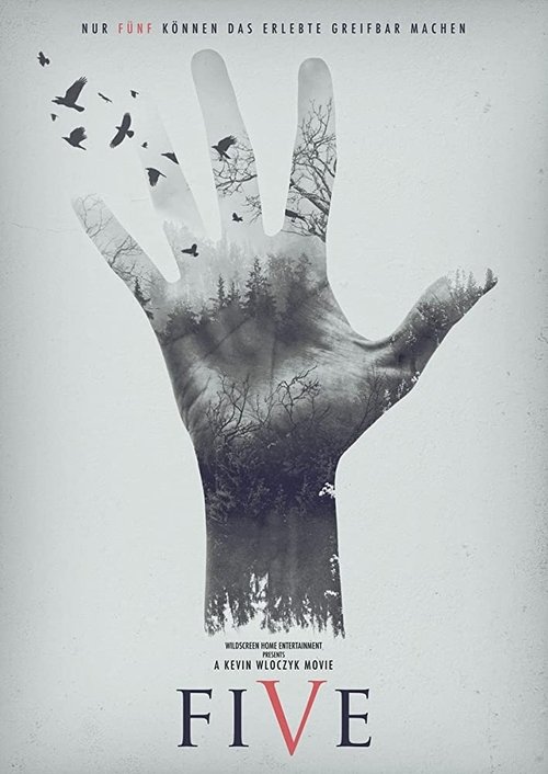 Five: Find Your Limit (2016) movie poster