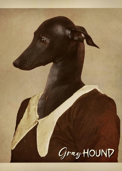 Gray Hound (2026) movie poster