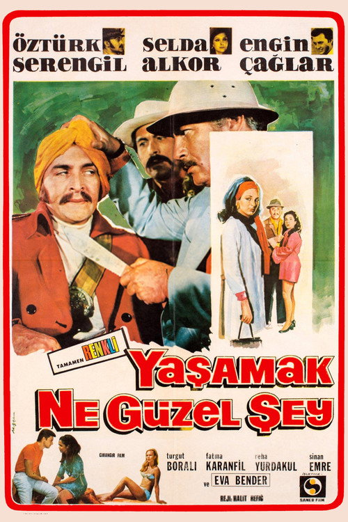 Yaşamak Ne Güzel Şey (1969) movie poster