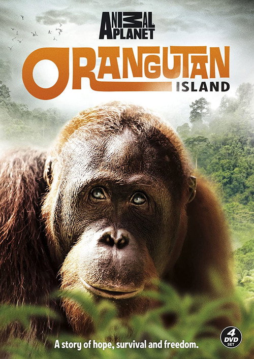 Orangutan Island (2007) TV show poster