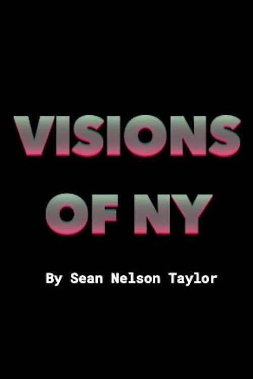 VISIONS_OF_NY (2019) movie poster
