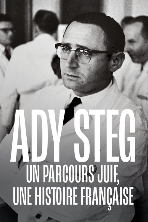 Ady Steg, un parcours juif, une histoire française (2024) movie poster