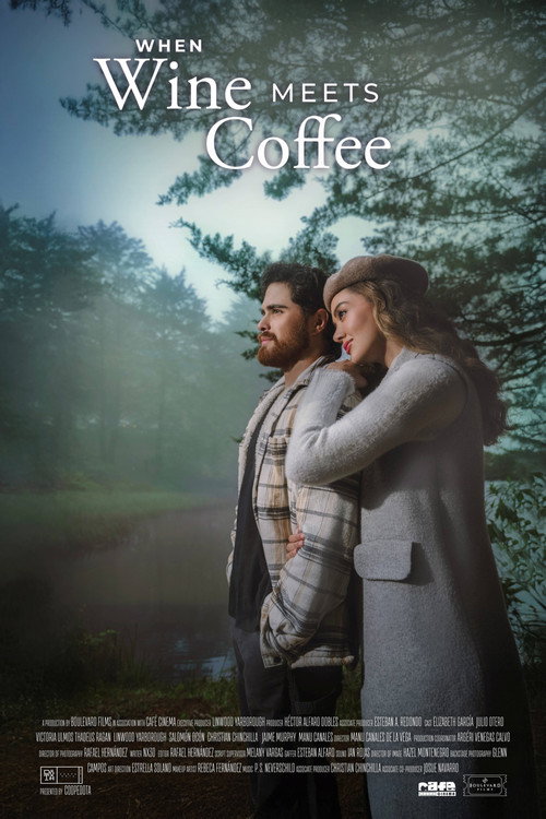 When Wine Meets Coffee movie poster