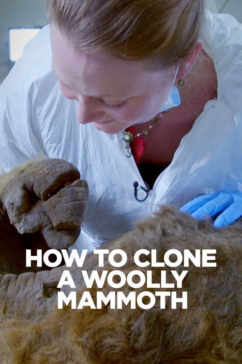 How To Clone A Woolly Mammoth (2014) movie poster
