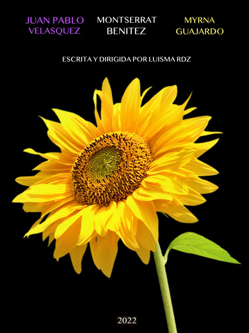 De la Noche a la Mañana (2022) movie poster