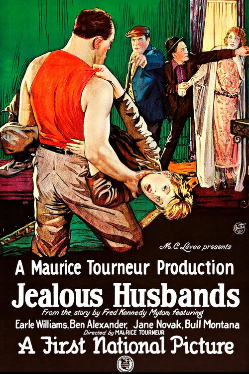 Jealous Husbands (1923) movie poster