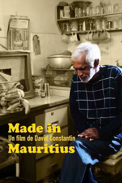 Made in Mauritius (2009) movie poster