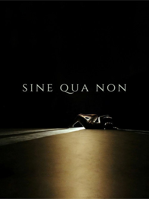 Sine Qua Non (2024) movie poster