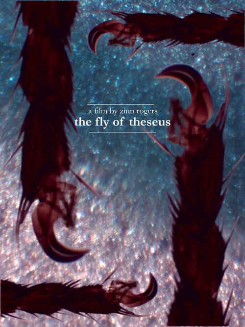The Fly of Theseus (2026) movie poster