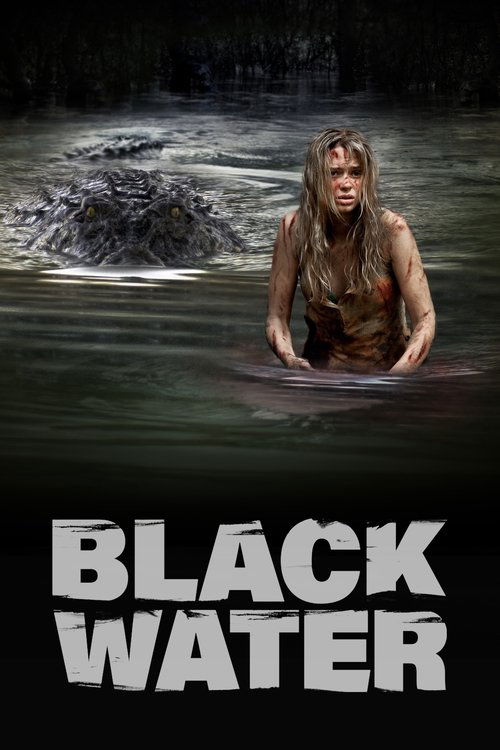 Black Water (2008) movie poster