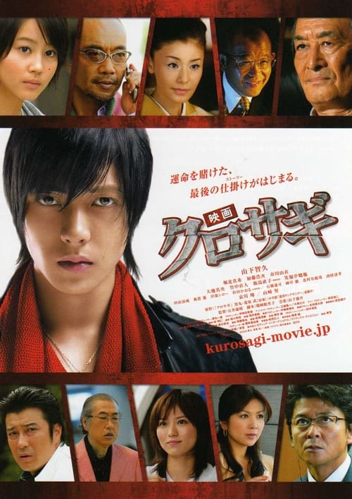 The Black Swindler (2008) movie poster