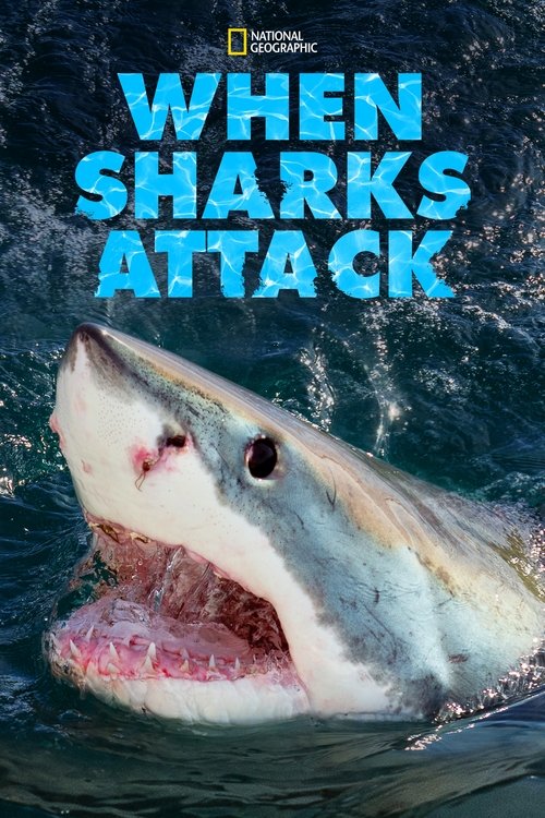 When Sharks Attack (2013) TV show poster