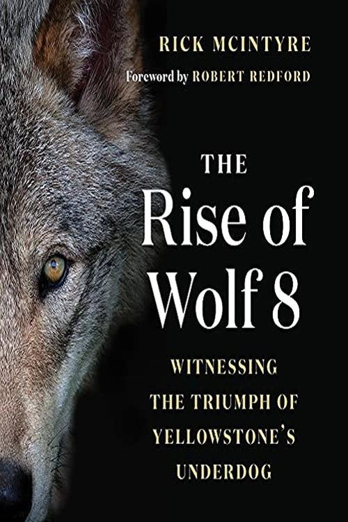 The Alpha Wolves of Yellowstone movie poster