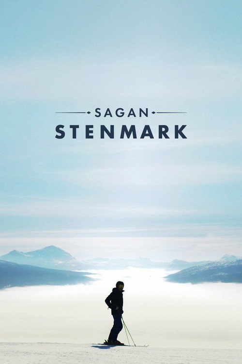 Sagan Stenmark (2022) TV show poster