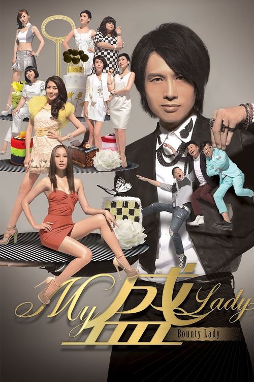Bounty Lady (2013) TV show poster