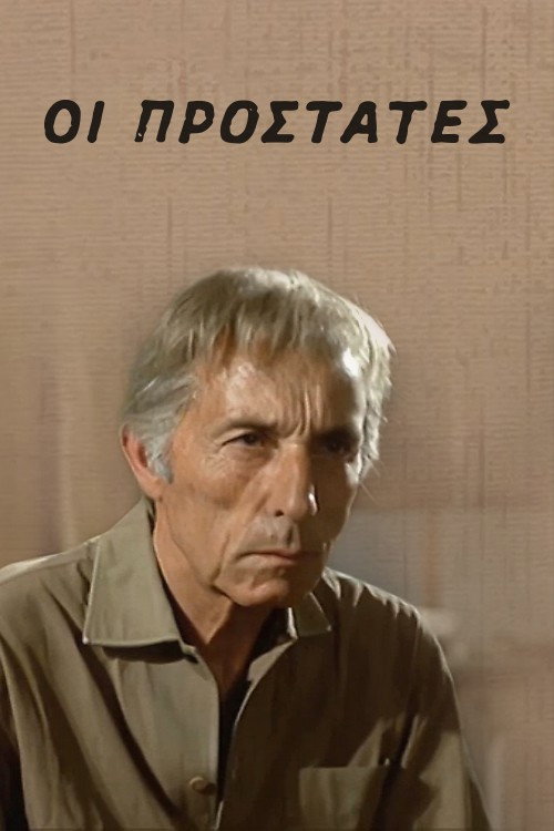 The Protectors (1973) movie poster