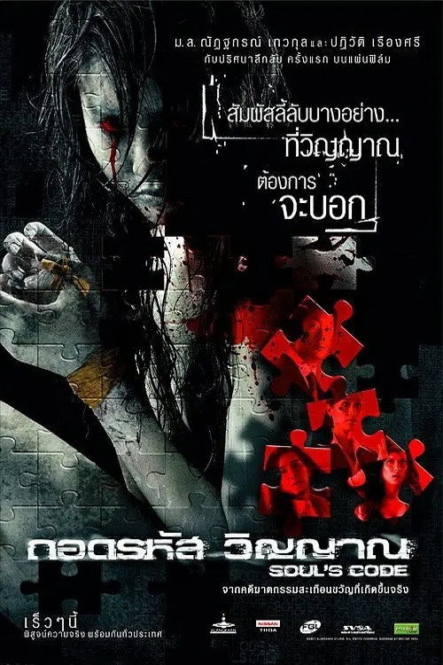 Soul's Code (2008) movie poster