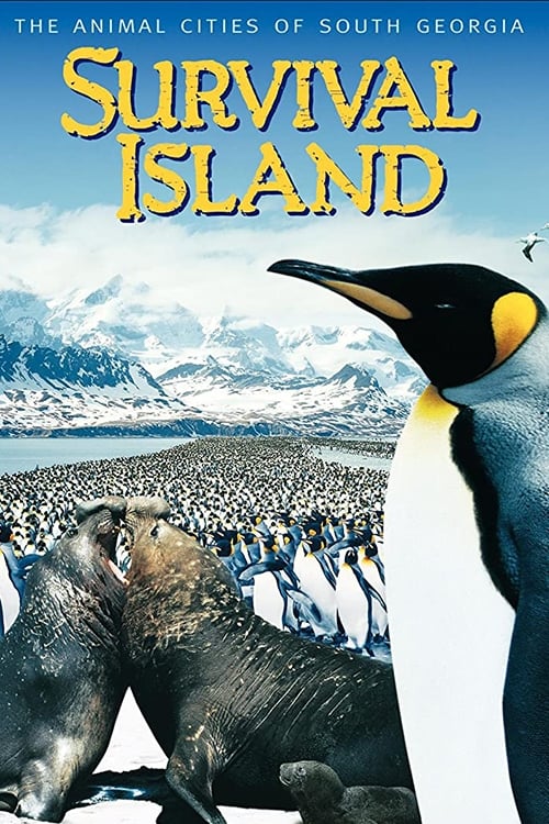 Survival Island (1996) movie poster