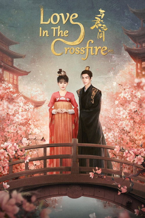 Love in the Crossfire (2024) TV show poster
