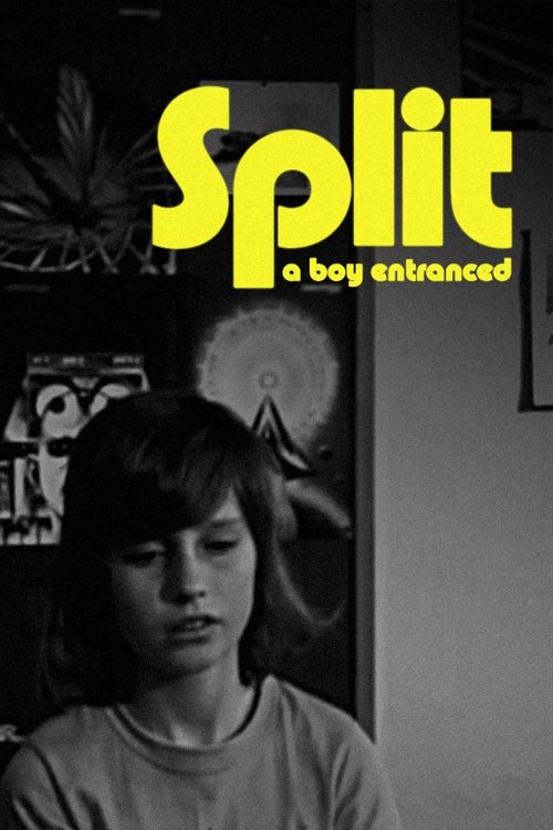Split (1974) movie poster