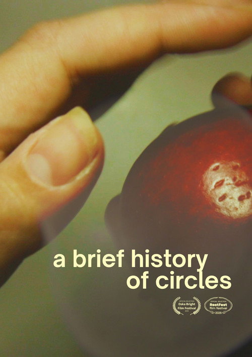 A Brief History of Circles (2024) movie poster