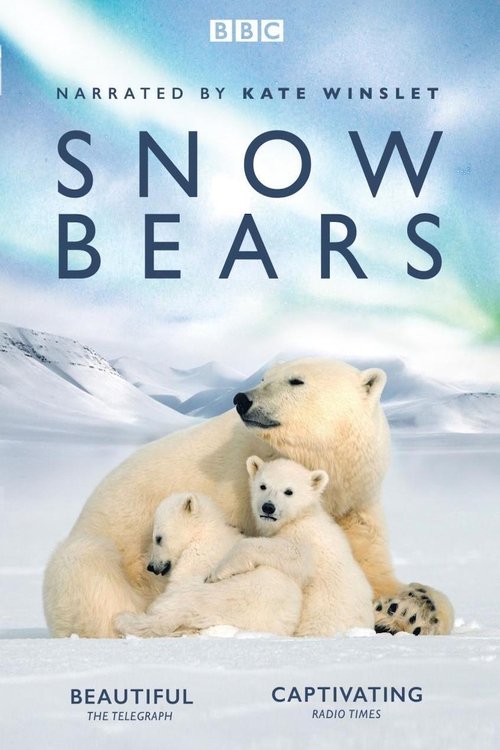 Snow Bears (2017) movie poster