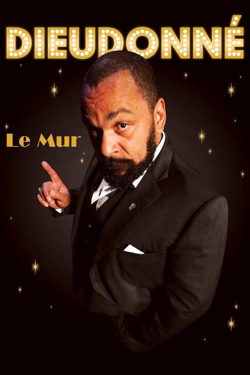 Dieudonné - Le Mur (2014) movie poster