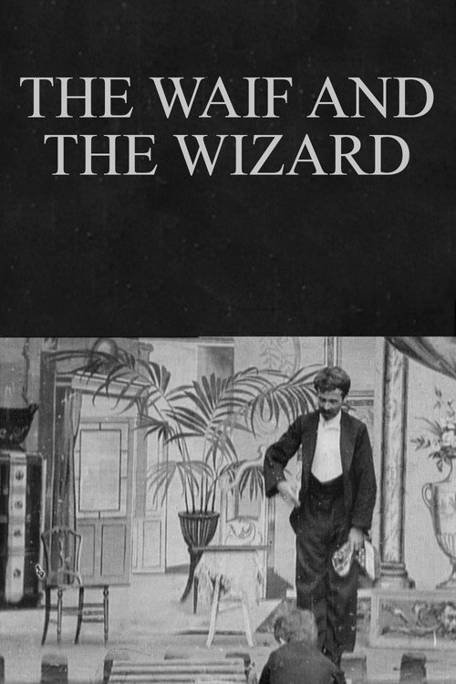 The Waif and the Wizard (1901) movie poster