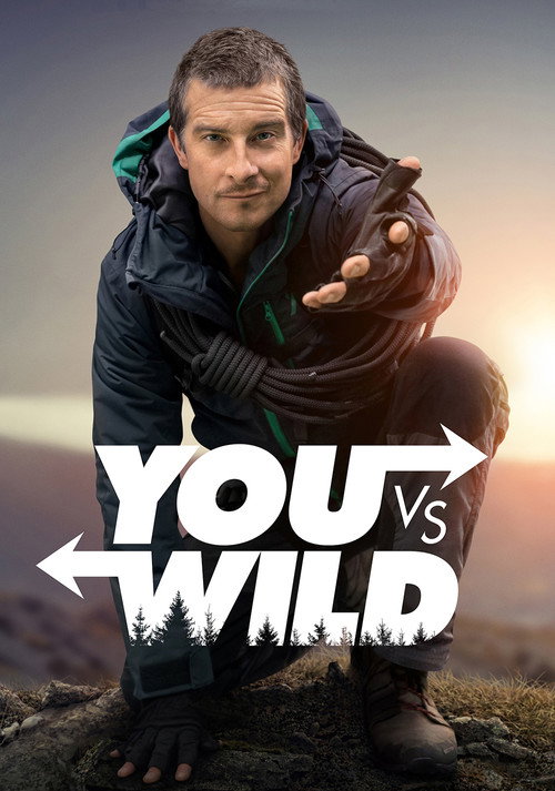 You vs. Wild (2019) TV show poster
