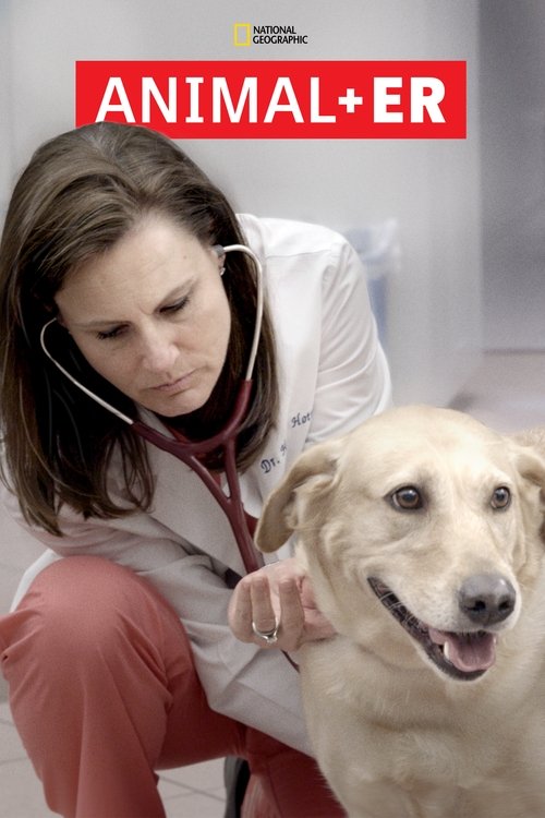 Animal ER (2016) TV show poster