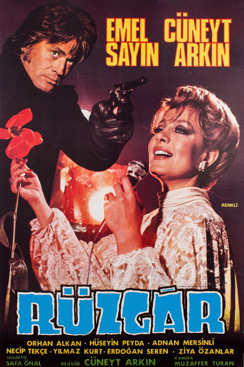Rüzgar (1980) movie poster