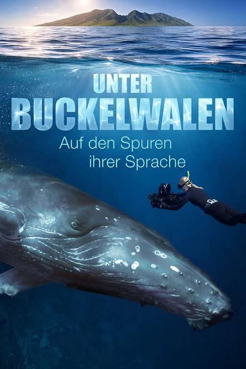 Among Humpback Whales (2026) movie poster