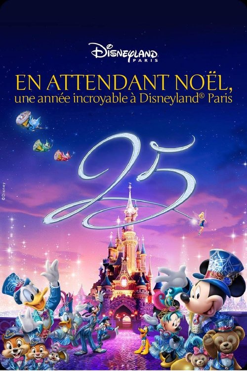 Waiting for Christmas: An Incredible Year at Disneyland Paris (2017) movie poster