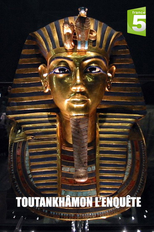 Tutankhamun: The Mystery of the Burnt Mummy (2013) movie poster
