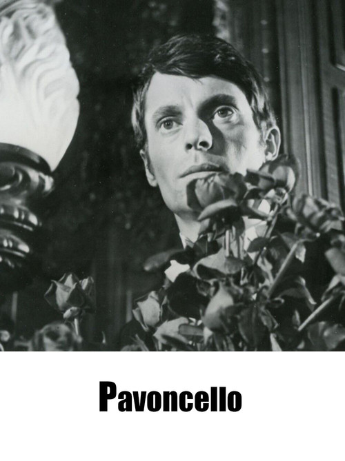 Pavoncello (1967) movie poster