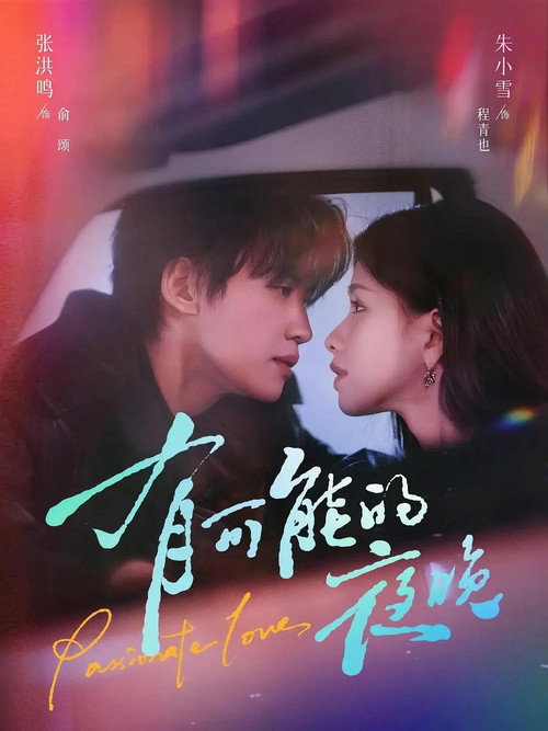 有可能的夜晚 (2026) TV show poster