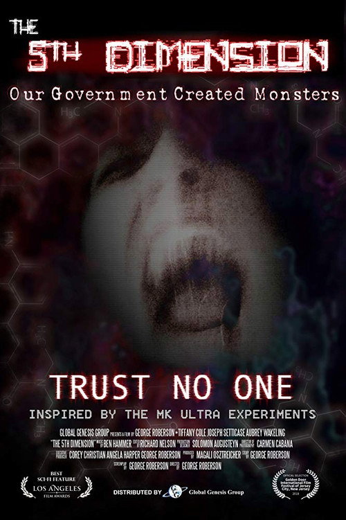 The 5th Dimension (2020) movie poster