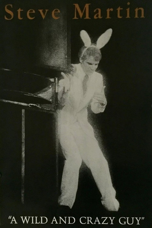 Steve Martin: A Wild and Crazy Guy (1978) movie poster