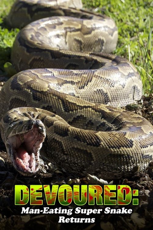 Devoured: Man-Eating Super Snake Returns (2013) movie poster
