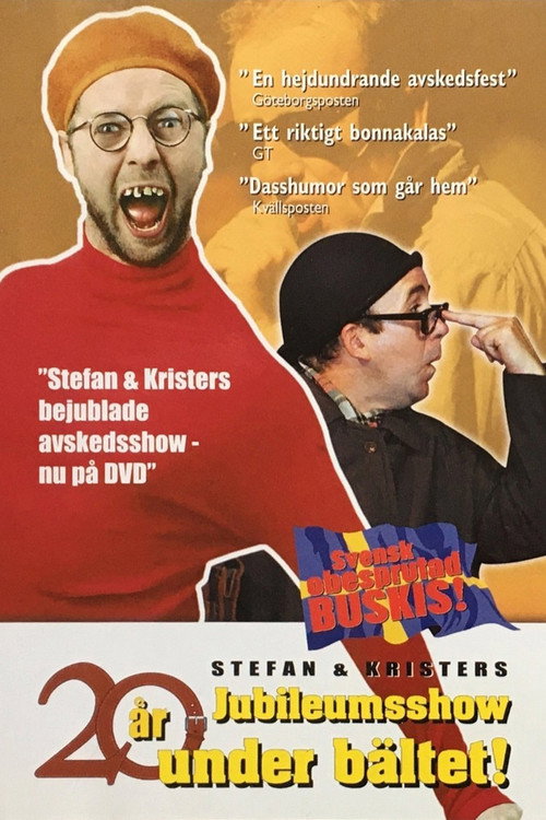20 år under bältet (2001) movie poster