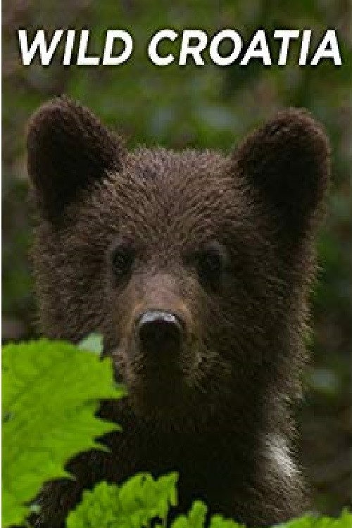 Wild Croatia (2009) movie poster