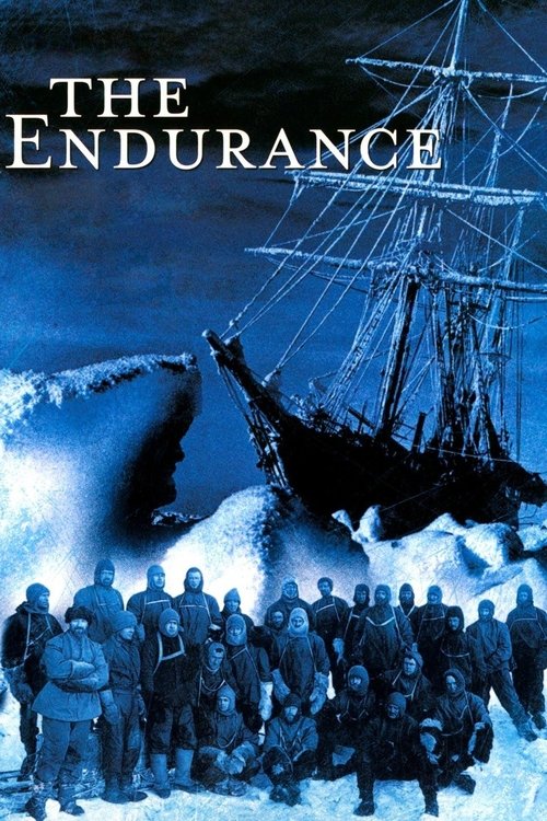 The Endurance (2000) movie poster