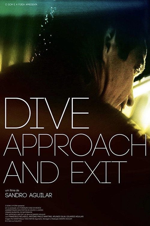 Dive: Approach And Exit (2013) movie poster